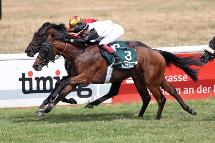 Deep Love siegt unter Michaela Malacova Deep Love siegt unter Michaela Malacova