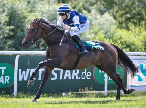 "Mund abputzen und improvisieren" - My Lady Dabandy zeigt Riesenspeed My Lady Dabandy