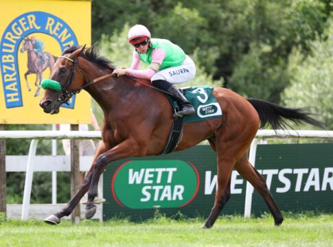 Schnelles Grewe-Doppel im Harz: Nach Donamay auch Neyshapur leichte Siegerin Neyshapur siegt