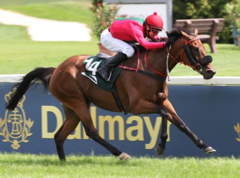 13,5:1! Viel Geld für Boysens Riem-Spezialistin Picnic En Ville Picnic En Ville siegt