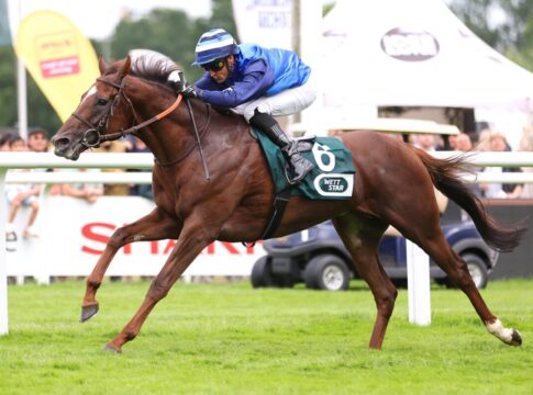 Wie in Baden: Kylian und Schützenzauber im Flieger-Preis vorne, nur andersrum Schützenzauber