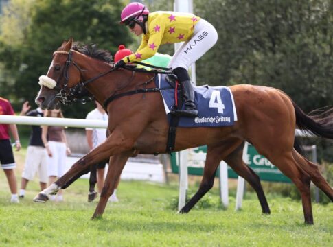 "Eigentlich zu kurz": Tiffany Twisted überrascht nicht nur ihre Reiterin Tiffany Twisted siegt