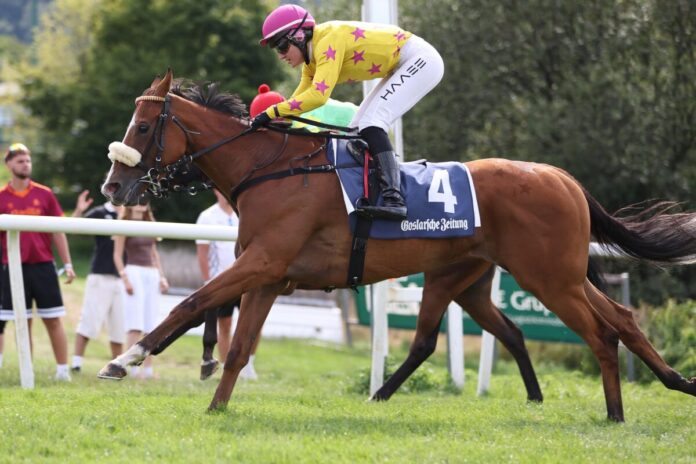 Tiffany Twisted siegt