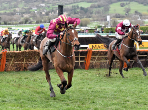 Gold Cup-Hero Minella Indo macht Schluss Cheltenham, Minella Indo (left) with Rachael Blackmore up wins the Albert Bartlett Novices‘ Hurdle