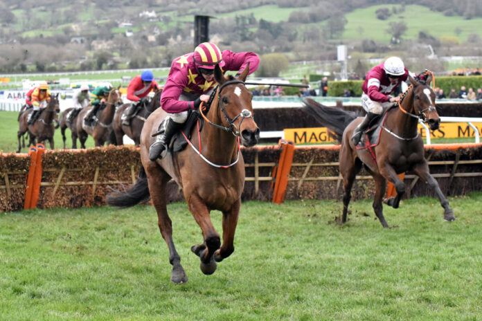 Cheltenham, Minella Indo (left) with Rachael Blackmore up wins the Albert Bartlett Novices' Hurdle