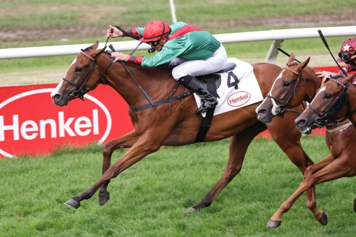 Bacarda siegt unter Wladimir Panov im Grafenberger BBAG-Rennen