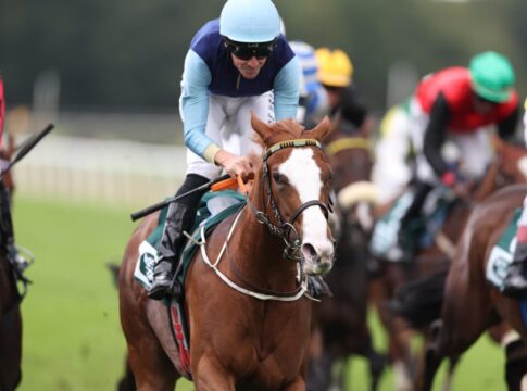 Waldpfad-Tochter Calissa wieder top: Zweiter Sieg beim vierten Start Calissa siegt unter Adrie de Vries