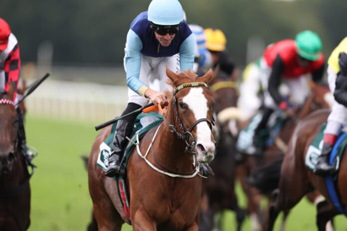 Calissa siegt unter Adrie de Vries