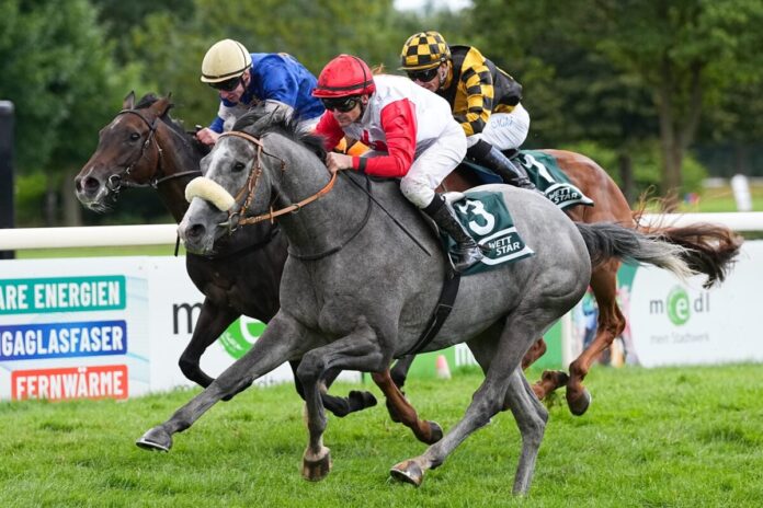 Carl August siegt unter Jozef Bojko