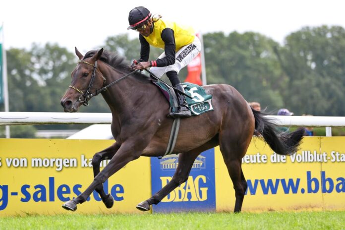Celestial Star siegt unter Eduardo Pedroza