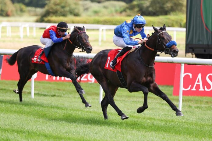 Chiefland siegt unter Leon Wolff Chiefland siegt unter Leon Wolff