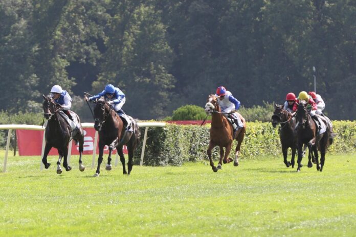 Cold Heart (3.v.li.) konnte sein GAG steigern Cold Heart (3.v.li.) konnte sein GAG steigern