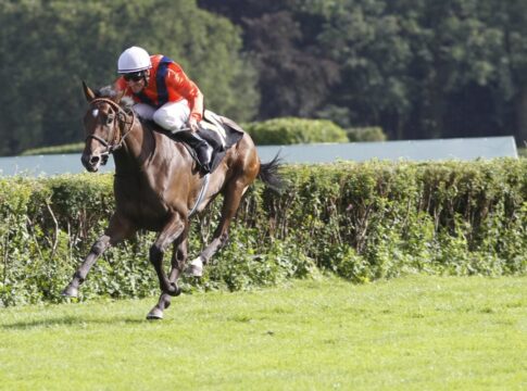 Großer Preis von Berlin - Highlight mit großer Strahlkraft Danedream gewinnt den Großen Preis im Jahr 2011