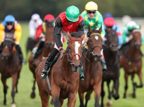 Delgardo siegt unter Eduardo Pedroza im Großer Preis des Audi Zentrum Hannover – BBAG Auktionsrennen
