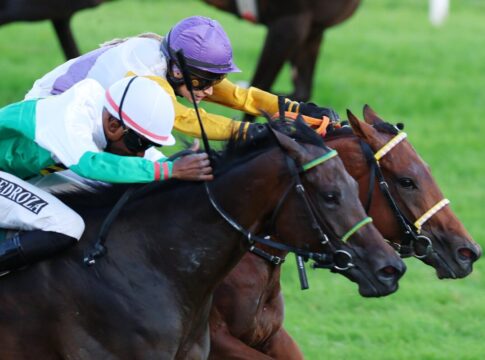 Dem Drachen wachsen Flügel - Dragon Magic im Ausgleich III auf den Punkt da Dragon Magic siegt unter Nina Baltromei