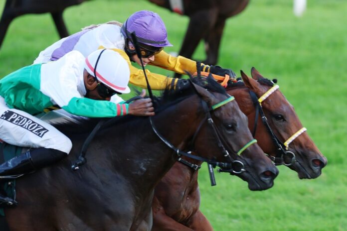 Dragon Magic siegt unter Nina Baltromei Dragon Magic siegt unter Nina Baltromei