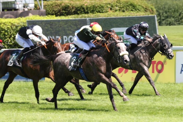 Emotion siegt unter Martin Seidl Emotion siegt unter Martin Seidl
