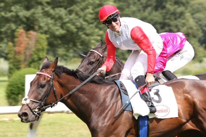 Geography siegt unter Andrasch Starke im Fritz Henkel-Preis Geography siegt unter Andrasch Starke im Fritz Henkel-Preis