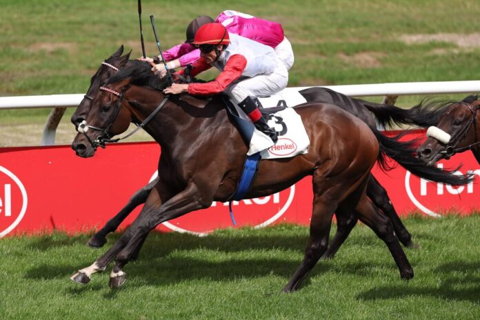 Geography siegt unter Andrasch Starke im Fritz Henkel-Preis, Gr.3