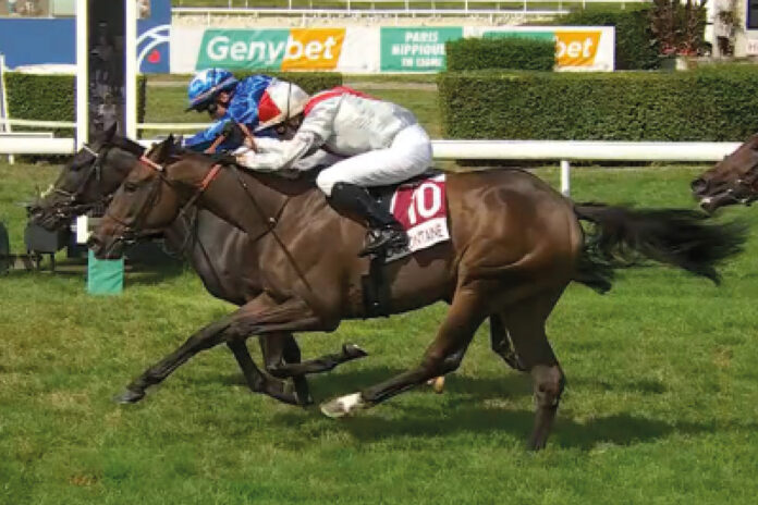 Gua Lipa (innen) Foto: Screenshot/Equidia Gua Lipa (innen) Foto: Screenshot/Equidia