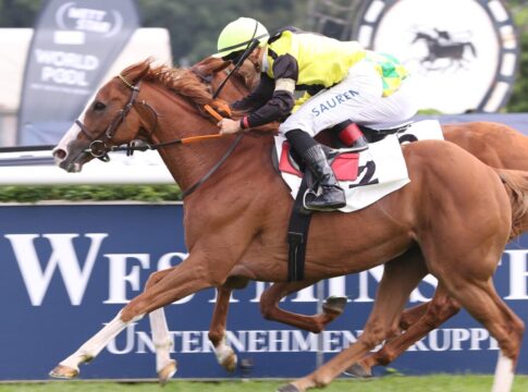 Hammer-Hansen wieder im Listenrennen - Waldadler gewinnt und soll nach Irland Waldadler siegt unter Thore Hammer-Hansen im Hoppegartener Steherpreis, L.