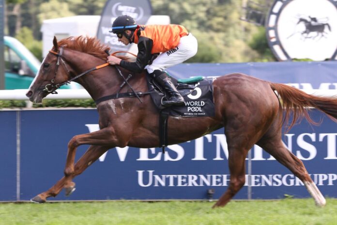 Romance of Lips siegt unter Michael Cadeddu