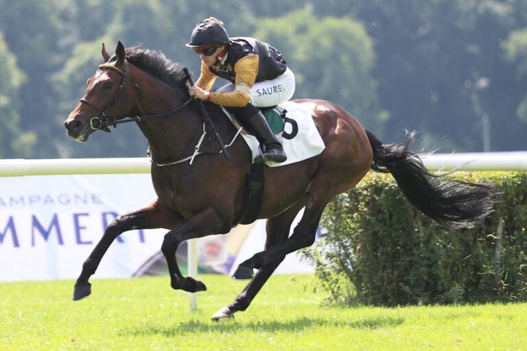 Werner nach Irland verkauft – Neuanfang bei Willie Mullins