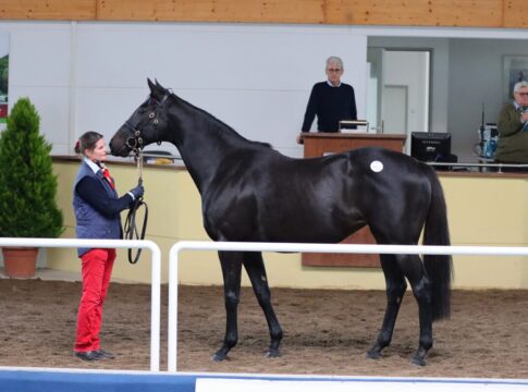 Auch 2025 heißt es wieder „Mit Vollblut in die Zukunft“ Auch 2025 heißt es wieder „Mit Vollblut in die Zukunft“