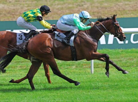 Nach Streichung noch sieben im St. Leger in Dortmund Kämpfer siegt unter Rene Piechulek im Stall Siepenblick 2.8 - Steher Cup