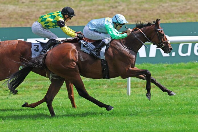 Kämpfer siegt unter Rene Piechulek im Stall Siepenblick 2.8 - Steher Cup