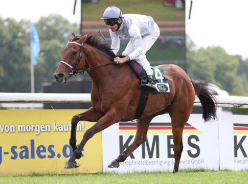 Adrie sitzt wie im Kino – Karisoke auf 1600 Metern hochüberlegen Karisoke siegt unter Adrie de Vries