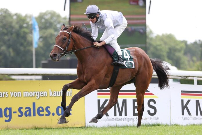 Karisoke siegt unter Adrie de Vries