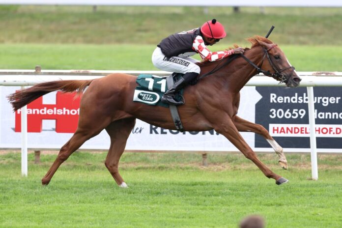 Keep Smiling siegt unter Eduardo Pedroza