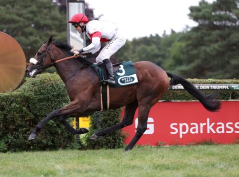 Loucas zu stark für Alsterperle – Abik und Hickst gewinnen Auftakt Loucas siegt unter Michal Abik