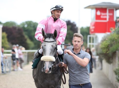 Cadeddu auch in Krefeld mit einem Sieg – Fairy Grey gewinnt Wettchance Fairy Grey siegt unter Michael Cadeddu