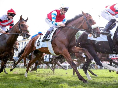 Deutsche Top-Galopper bei der Arc Sale: Lazio führt Aufgebot an Lazio