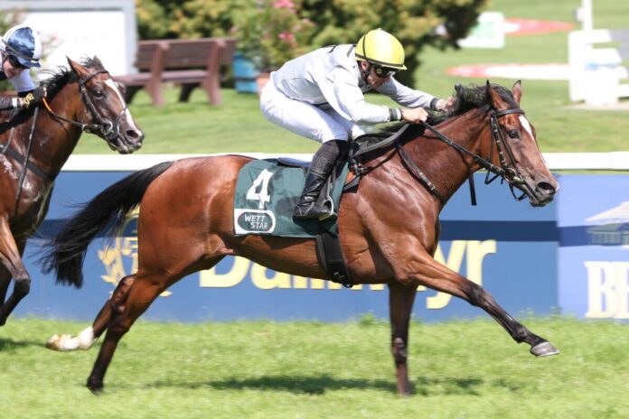 Lexi's Dream siegt unter Wladimir Panov Lexi's Dream siegt unter Wladimir Panov