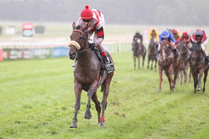 Lynario siegt unter Andrasch Starke