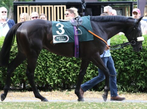 Einiges geboten am Samstag in Halle Nordwind