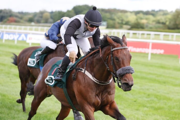 Mandy's Girl siegt unter Concetto Santangelo Mandy's Girl siegt unter Concetto Santangelo