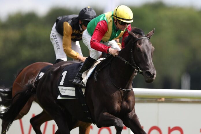 Nastaria siegt unter Jozef Bojko im Großer Preis von Volkswagen Automobile Hannover - Steher Stutenpreis, L.