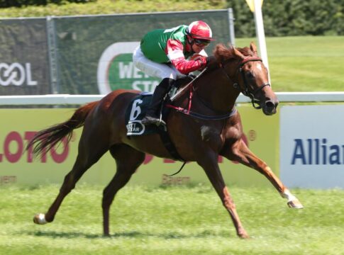 Glanz-Sieg in der zweiten V4-Runde - New Diamond springt für Kaviar ein New Diamond siegt unter Miguel Lopez