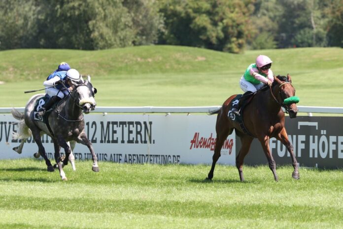 Neyshapur siegt unter Thore Hammer-Hansen Neyshapur siegt unter Thore Hammer-Hansen