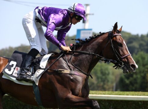 Nach starker Handicap-Form - Stall Nizzas Nicosia jetzt Siegerin Nicosia siegt unter Pablo Werder