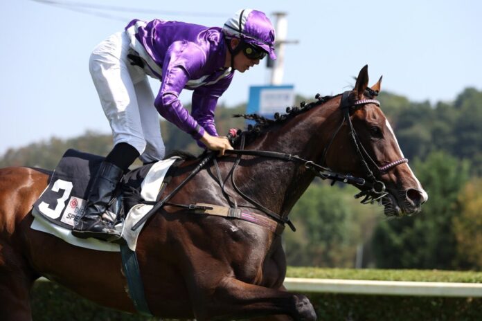 Nicosia siegt unter Pablo Werder Nicosia siegt unter Pablo Werder