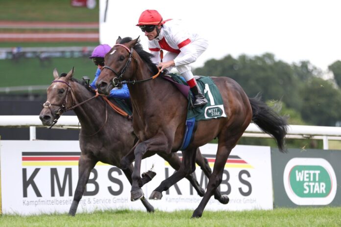 Nitaro siegt unter Andrasch Starke