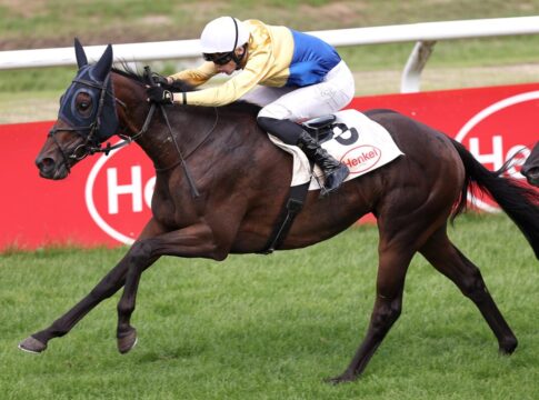 Oak Ivy siegt unter Leon Wolff