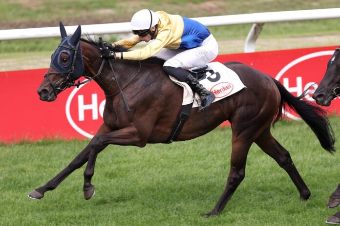 Oak Ivy siegt unter Leon Wolff