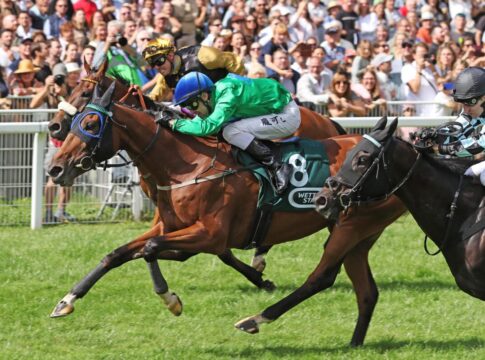 Alles passt für Oui no si - Nutan-Tochter in Iffezheim mit erstem Sieg Oui no si siegt unter Rene Piechulek