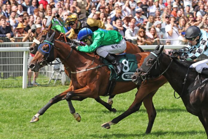 Oui no si siegt unter Rene Piechulek Oui no si siegt unter Rene Piechulek